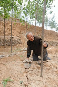 Sanxiao Ma, 62 let, vysázel celý les