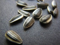 sunflowerseeds.jpg